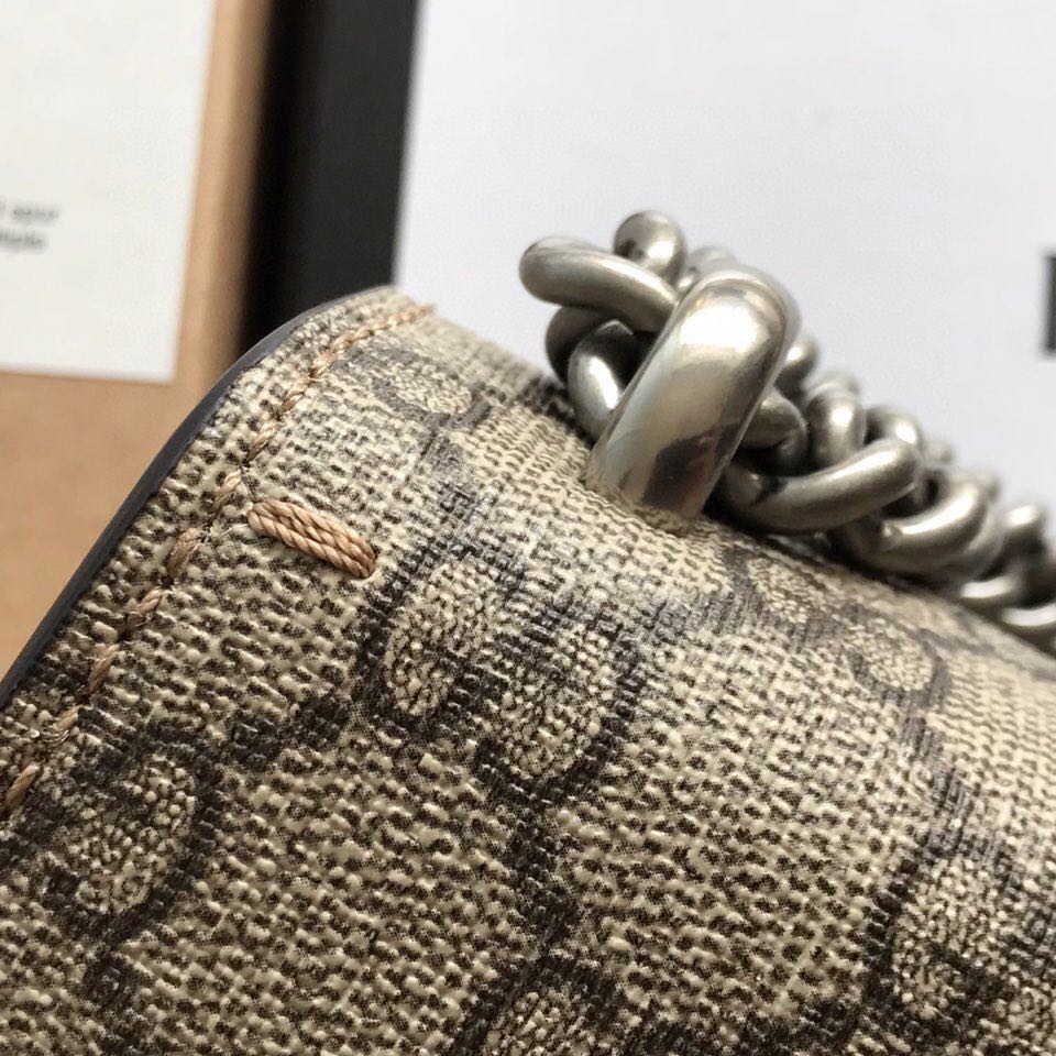 dionysus gg S*p*e mini bag