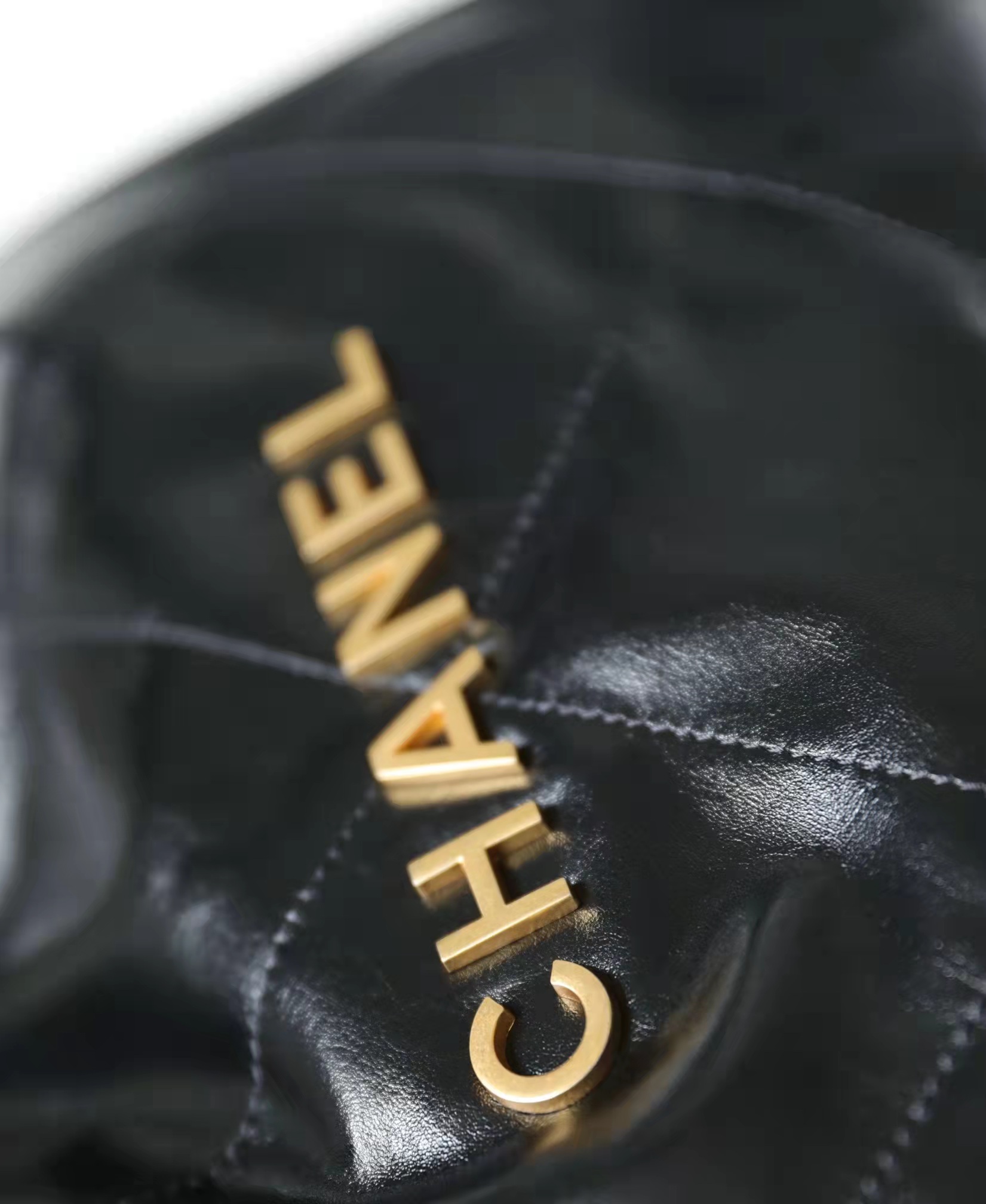 Ch*el 22 medium