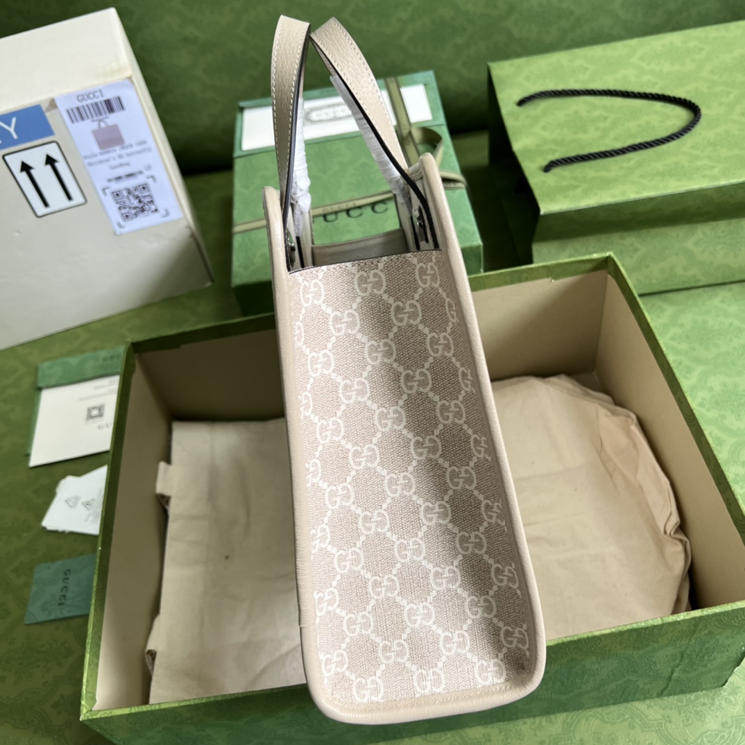 Ophidia Epilogue handle bag