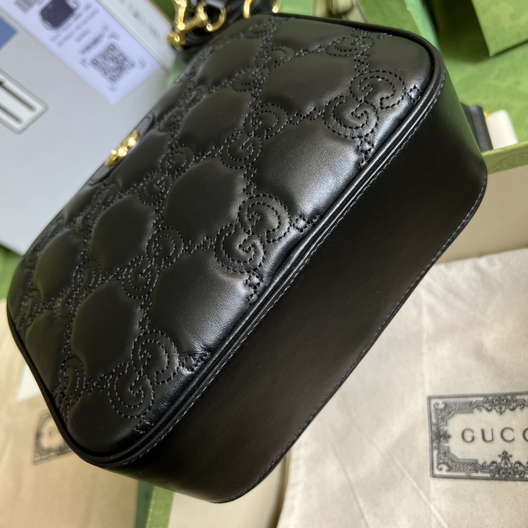 Ophidia GG leather bag