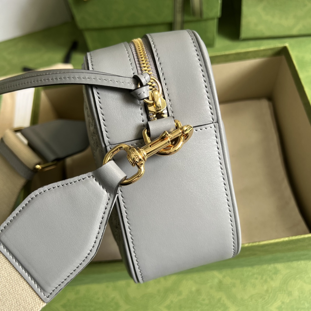 Ophidia GG leather bag