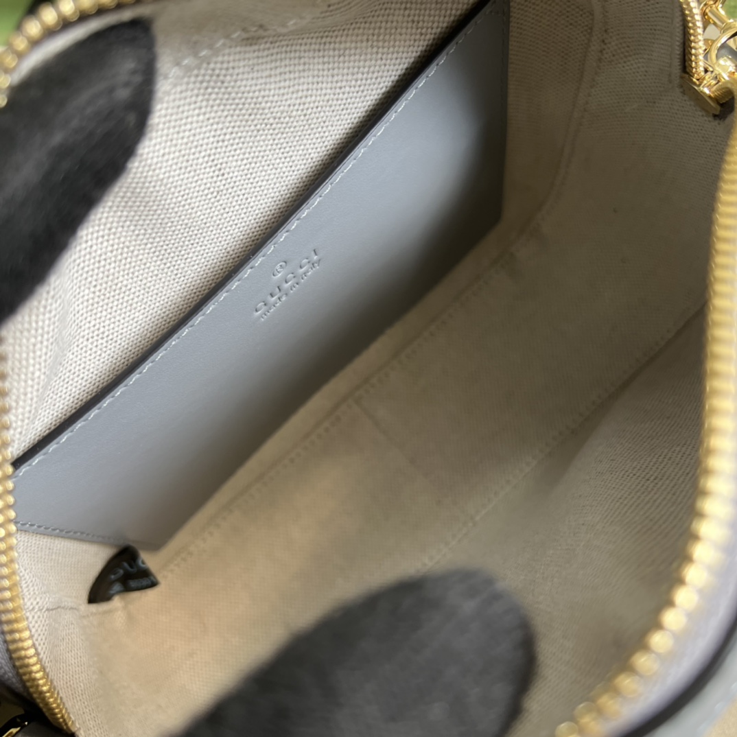 Ophidia GG leather bag