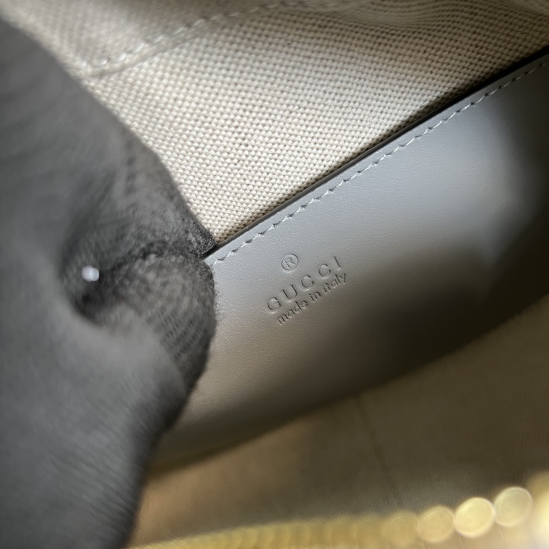 Ophidia GG leather bag