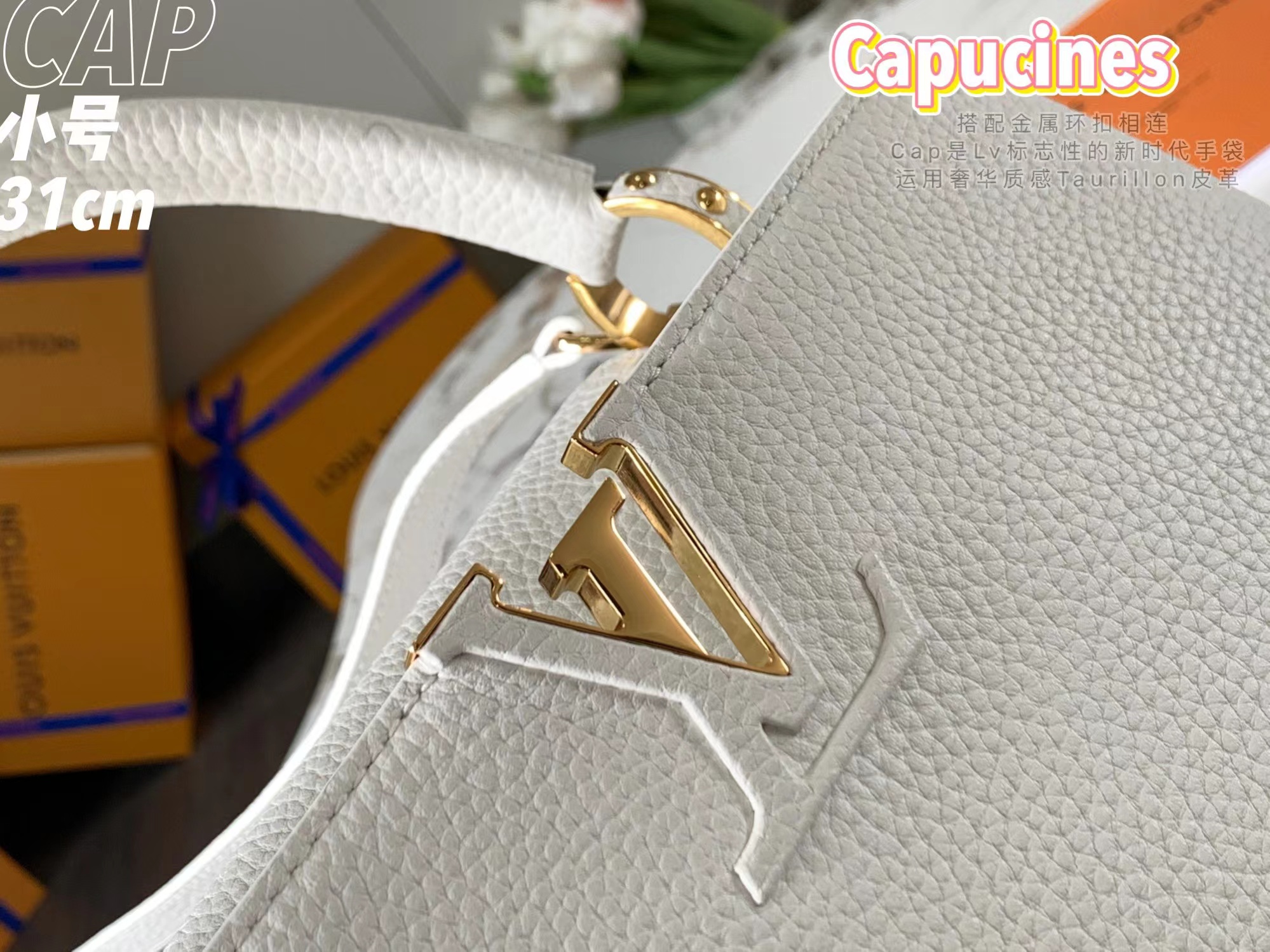 CAPUCINES MM