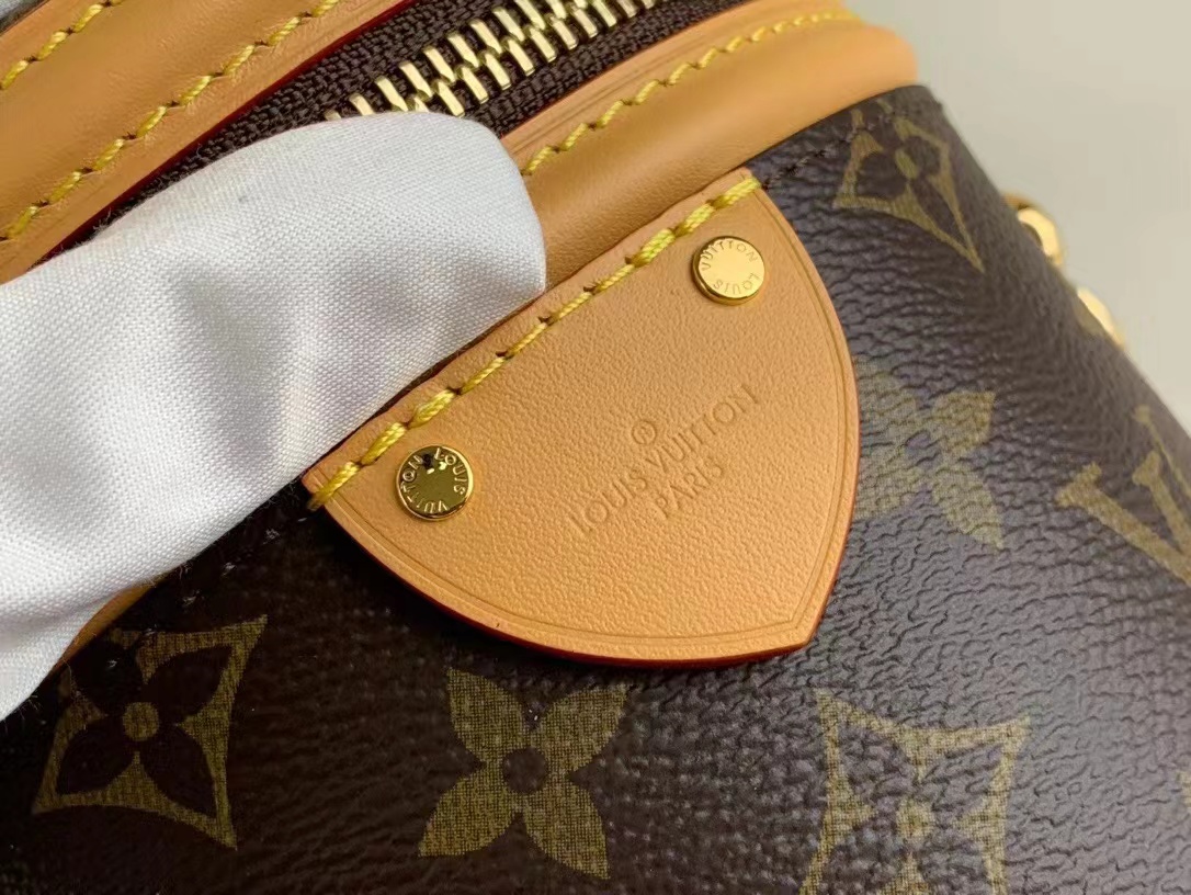 LV Cannes cloth handbag