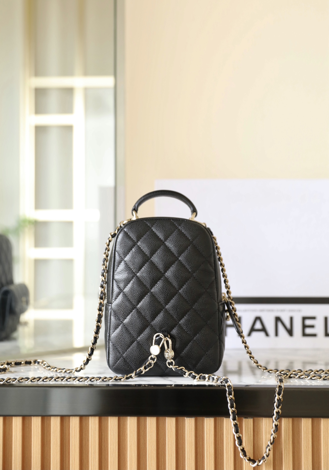 𝖧𝖺𝖺𝗌 Backbag